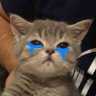 Profilbild von zee