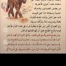algbani profil fotoğrafı