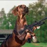 Dogfaced Ponysoldier's profile picture