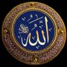 Hala al Gohary 的头像