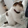 Profilbild von Ntina Sinni