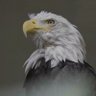jackieyou's profile picture