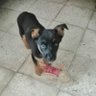 Javero_ profil fotoğrafı