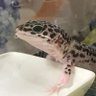 Фото профиля あげたこ
