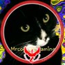 Mrcoolcatgaming #meowdasgoldentouchfixplease's profile picture