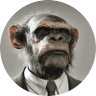 Profilbild von Monte Masters