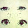 Pascal Hofmann's profile picture