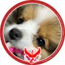 kotora673's profile picture