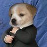 felix's profile picture