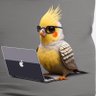 Kiki briki profil fotoğrafı