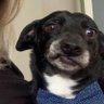 Anny's profile picture