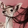 ساره's profile picture