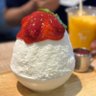 ordinary tofu's profile picture
