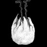 Fizzex's profile picture