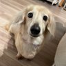 Na profil fotoğrafı