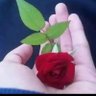 Profilbild von istiyaq Ahamad