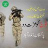 Tayyab kiani's profile picture