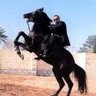 ABDOU.OMAR profil fotoğrafı