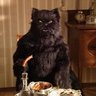 Фото профиля Michael Bulgakov