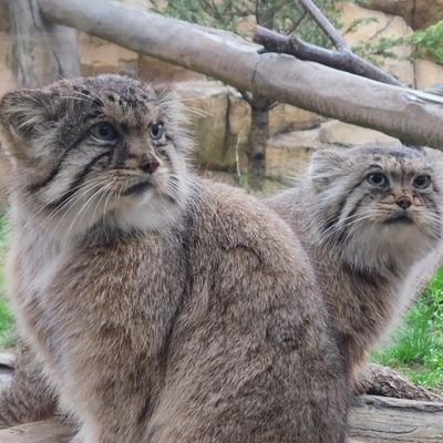 テン's profile picture