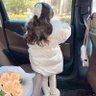 هاجَر's profile picture
