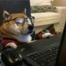 DogeLite∝ profil fotoğrafı