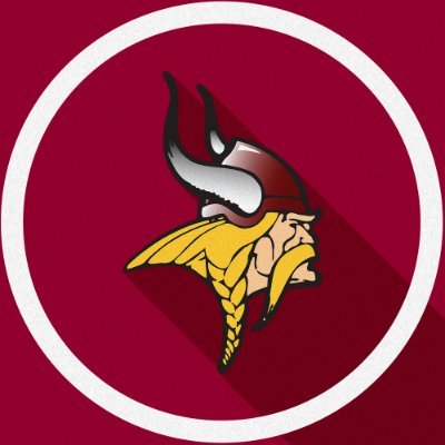 VCSUVikings's profile picture