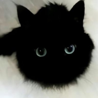 weiweiiii11's profile picture