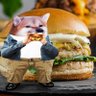 spudpacker's profile picture
