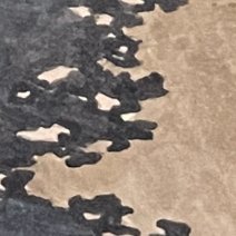 shiratamaha's profile picture
