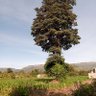 Profilbild von Njoroge