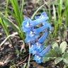Фото профиля まるめがね