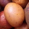 Profilbild von potatung