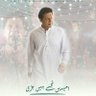 Nazish Kamran's profile picture