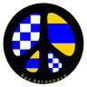 Фото профиля Paz Aerospace