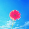 そう profil fotoğrafı