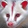 Malta Neto 🇧🇷 🇲🇨's profile picture
