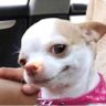 Mia's profile picture