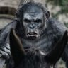 rodiojacks profil fotoğrafı