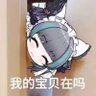 Фото профиля 麦辣鸡腿堡