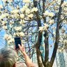 Emperor profil fotoğrafı