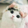 Фото профиля 🧡🧡🌸🌸PlengKwan🌸🌸🧡🧡