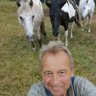 Klaus Hubert Kick's profile picture