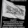 Alisaim Aslan's profile picture