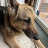 Obi's profile picture