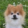 Tucker's profile picture