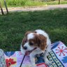 asami profil fotoğrafı