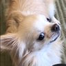 Profilbild von さちお