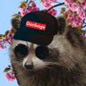 Profilbild von corgibox