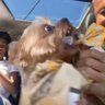 Fluffs 的头像